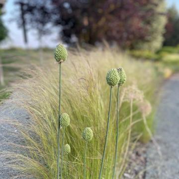 4F6E144E-FDEF-48AF-91C0-99C2DD5F29E6