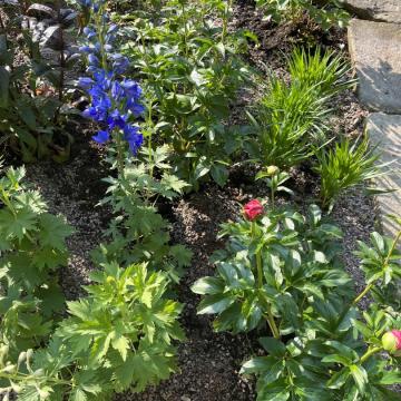 500BD832-D839-44A8-8112-312EF1631365