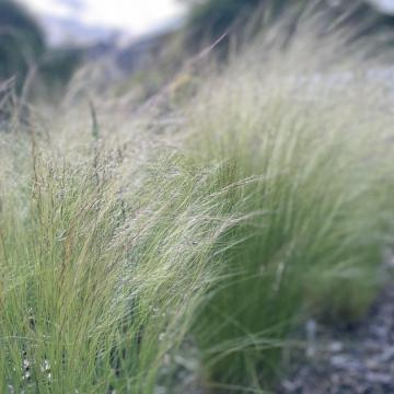 111FA622-D6AD-4DF4-B0EF-663E43C26169