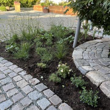 A1553DA7-B8B2-464B-856D-1800C23F9533