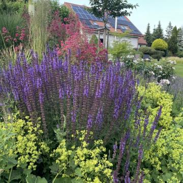 B88C6F6B-7FB8-4BF0-AE99-81CBB2A5F66D