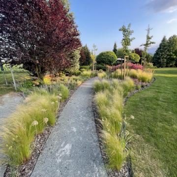 F61B3B2C-729B-4955-970A-A1D560BCA97C