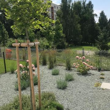 85ECE81B-41CE-41A1-A187-1AE462CCEE19