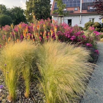 B1F82805-291C-4C72-9C40-E8A15F34F019