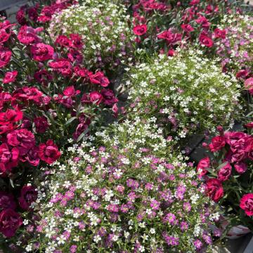 133AD5D1-C766-4D08-B72B-51E9C2827378