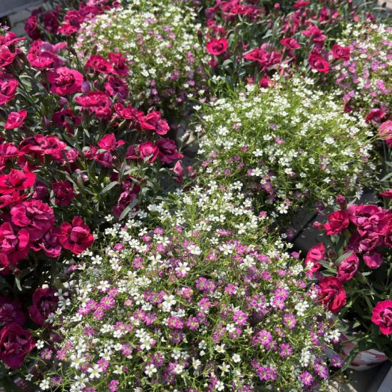 133AD5D1-C766-4D08-B72B-51E9C2827378