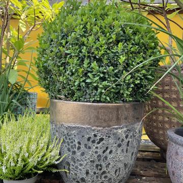 30BCB93E-57B7-4B28-8990-D411CBB33EC8