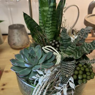 36597803-62A9-46DC-ACC1-34B8A1517848