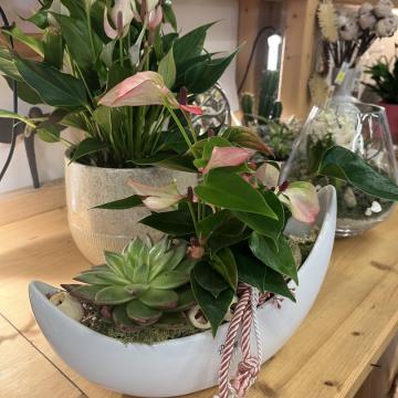 4CC4AD18-3FE7-42AD-B1CA-FD263BEE24A9