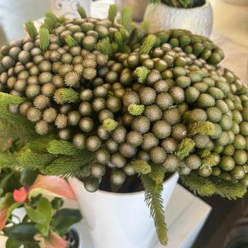 D63876D4-162E-45E2-B326-0C5E945FD624