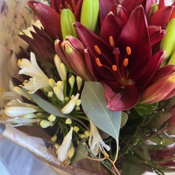 9ACBCB46-C09C-44E1-A1AD-73D74EDDF256