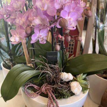 78735F6F-1AF0-469C-9FFE-D1B069319D3F