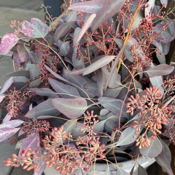 7E919D0F-6EDB-45EF-9B49-1DF65F76C61E