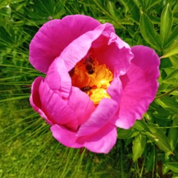 60977BF6-2CB2-4013-AE9A-00D796EA149F