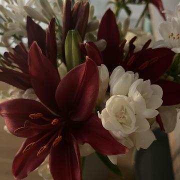 7906E995-0CD1-4557-8197-4BEEC37F09AD