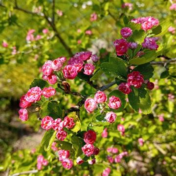 4F07FE40-EBBE-4BEC-8ED0-8009245B7F6D