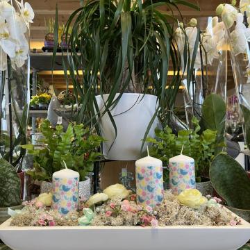 98D2A60C-D694-4746-B6AB-7EFC734237AF