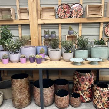 BF9E0DEF-A1D9-47F1-92CE-4FB98AD13656