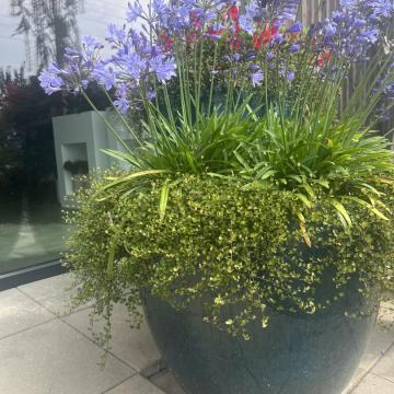 461F63F9-E019-461C-8530-42E1D0073CBD