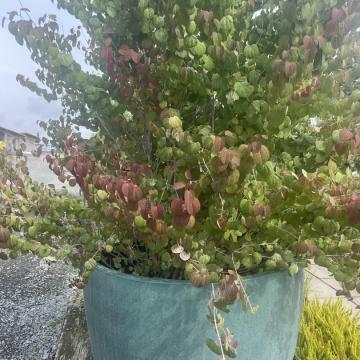 C28F454F-9D9C-45B5-821D-AB3C968A121C