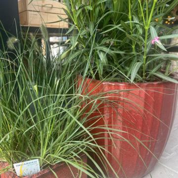 C62987E7-0821-4CDC-BAEB-F54CD1B74DA8