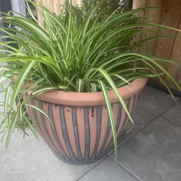 9F86246E-04BA-4C4A-BC2E-FAAF4F59048C