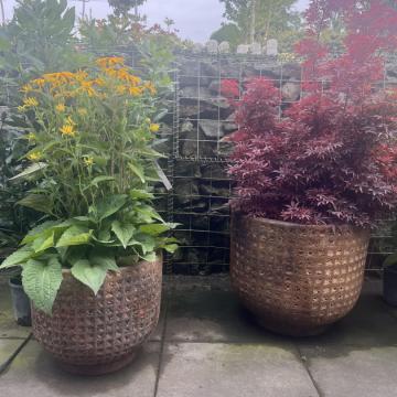 5513647B-4D4E-49D5-AD91-6C71A0B79B7B