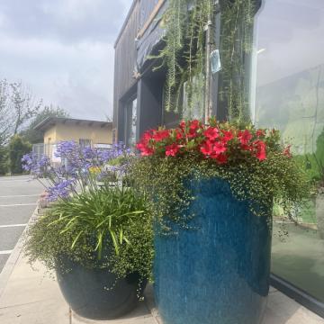 35897EA8-5C8A-4E04-846E-EE9CB210C405