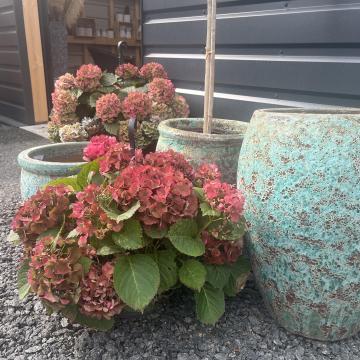 62C39164-50FC-4586-A2CC-AF740B32909D