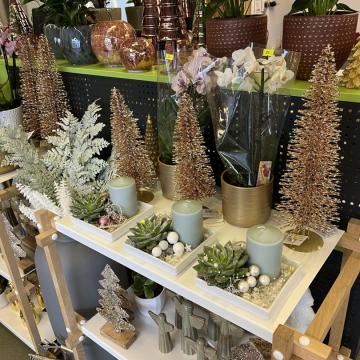 E66A0A92-DB03-4837-A090-6B5CDF3759F8