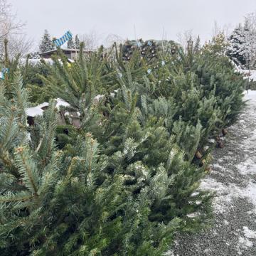 47351AB4-7586-4E93-8D76-022049FF002E