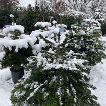 F195C277-ACA4-4110-8158-720D54DBF292