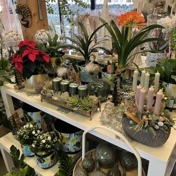 7514BE47-AD7E-4830-854E-BA3451D82F79