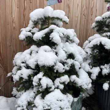 8152ED55-FD5D-4D36-8889-091A502A0A4A